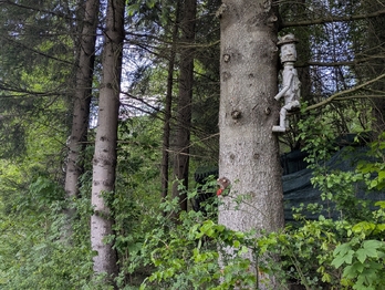 Prodej chaty / chalupy 54 m², Krásná