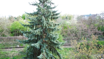 Pronájem bytu 2+1 v osobním vlastnictví 60 m², Praha 6 - Vokovice