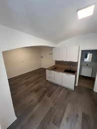Pronájem bytu 1+kk v osobním vlastnictví 28 m², Praha 2 - Nusle