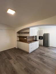 Pronájem bytu 1+kk v osobním vlastnictví 28 m², Praha 2 - Nusle