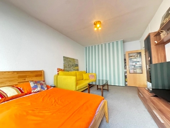 Prodej bytu 1+1 v družstevním vlastnictví 37 m², Karviná