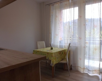 Pronájem bytu 1+1 v osobním vlastnictví 32 m², Adamov