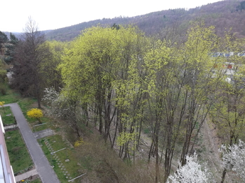 Pronájem bytu 1+1 v osobním vlastnictví 32 m², Adamov