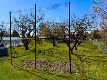 Prodej chaty / chalupy 8 m², Pardubice