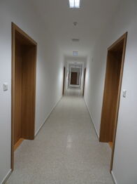 Pronájem bytu 2+kk v osobním vlastnictví 42 m², Znojmo