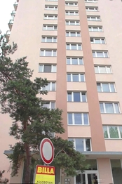 Prodej bytu 1+kk v osobním vlastnictví 24 m², Praha 4 - Braník
