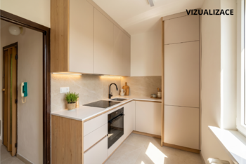 VIZUALIZACE | Byt 1+1| Denisa Sochová | +420 730 823 682 | denisa.sochova@re-max.cz - Prodej bytu 1+1 v osobním vlastnictví 29 m², Karviná