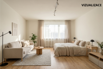 VIZUALIZACE | Byt 1+1| Denisa Sochová | +420 730 823 682 | denisa.sochova@re-max.cz - Prodej bytu 1+1 v osobním vlastnictví 29 m², Karviná