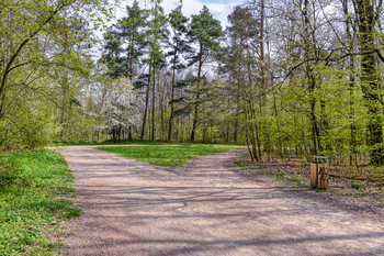 Pronájem bytu 3+1 v osobním vlastnictví 65 m², Praha 4 - Háje
