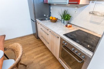 Pronájem bytu 2+kk v osobním vlastnictví 55 m², Praha 3 - Žižkov