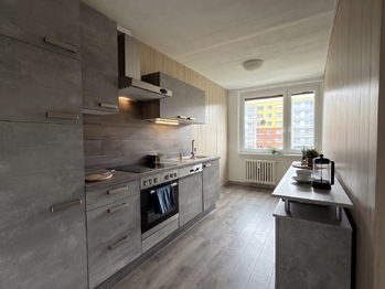 Prodej bytu 3+1 v družstevním vlastnictví 68 m², Most