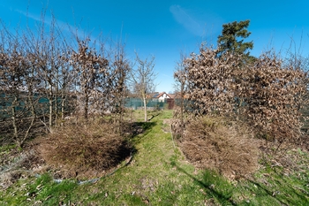 Prodej útulného rodinného domu 166 m², Hodov, okres Třebíč – klidná lokalita - Prodej domu 166 m², Hodov