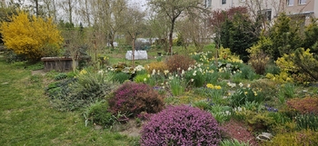 Moderní byt 3+kk, Bosonohy, Brno - Prodej bytu 3+kk v osobním vlastnictví 67 m², Brno