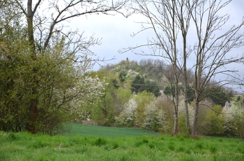 Výhled na zříceninu hradu Veliš - Prodej pozemku 744 m², Podhradí 