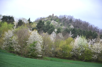 Výhled na zříceninu hradu Veliš - Prodej pozemku 744 m², Podhradí