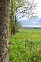 Výhled na Jičín - Prodej pozemku 744 m², Podhradí