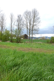 Prodej pozemku 744 m², Podhradí