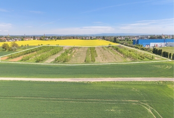 Prodej pozemku 17154 m², Jaroměř