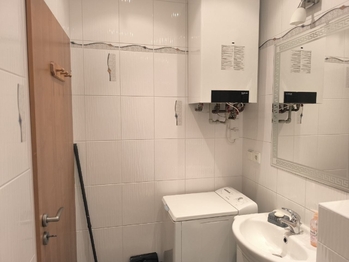 Pronájem bytu 1+1 v osobním vlastnictví 42 m², Karlovy Vary