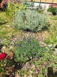 Pronájem bytu 2+1 v osobním vlastnictví 50 m², Karlovy Vary