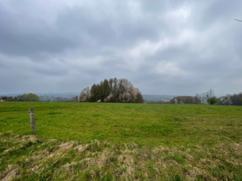 Prodej pozemku 1504 m², Český Těšín