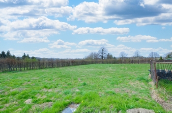 Prodej pozemku 1058 m², Rychvald