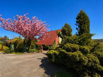 Prodej domu 160 m², Horní Bludovice