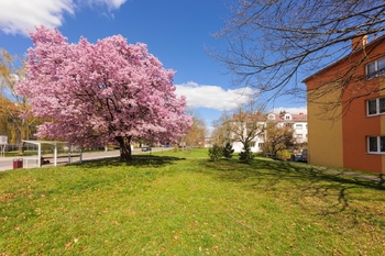 Prodej bytu 4+kk v osobním vlastnictví 112 m², Kuřim