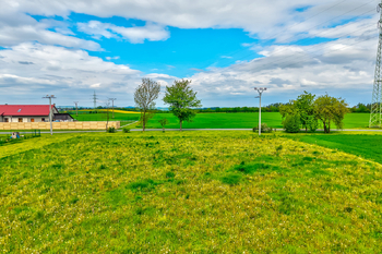 Prodej pozemku 10000 m², Zbizuby