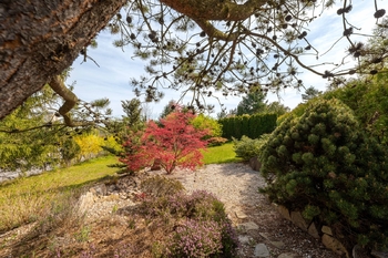 Prodej pozemku 502 m², Boršov nad Vltavou