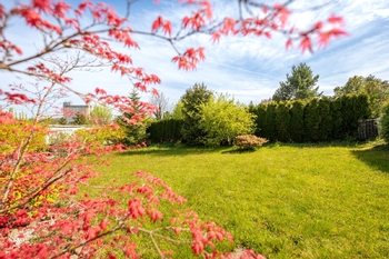 Prodej pozemku 502 m², Boršov nad Vltavou