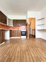 Prodej bytu 2+1 v osobním vlastnictví 51 m², Bílina