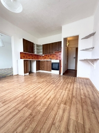 Prodej bytu 2+1 v osobním vlastnictví 51 m², Bílina