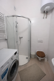 Část ( 1+1 )  - Koupelna s WC - Prodej bytu 3+1 v osobním vlastnictví 89 m², Praha 3 - Žižkov