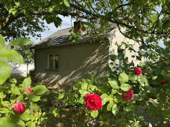 Prodej chaty / chalupy 19 m², Plzeň
