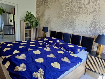 Prodej bytu 4+1 v osobním vlastnictví 160 m², Sokolov