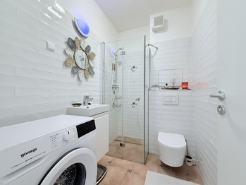 Pronájem bytu 2+kk v družstevním vlastnictví 45 m², Hostivice