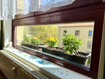 Pronájem bytu 2+kk v družstevním vlastnictví 45 m², Hostivice