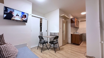 Pokoj - Pronájem bytu 1+kk v osobním vlastnictví 20 m², Praha 4 - Záběhlice