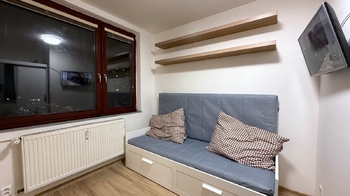 Pokoj - Pronájem bytu 1+kk v osobním vlastnictví 20 m², Praha 4 - Záběhlice
