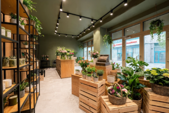 Pronájem obchodních prostor 60 m², Ostrava