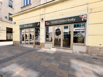 Pronájem obchodních prostor, Ostrava