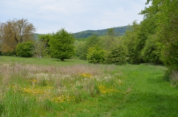 Prodej pozemku 448 m², Železnice