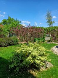 Prodej ubytovacího zařízení 700 m², Bobrová