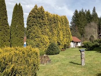 Prodej domu 199 m², Loučovice