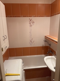 Prodej bytu 3+1 v osobním vlastnictví 66 m², Ostrava