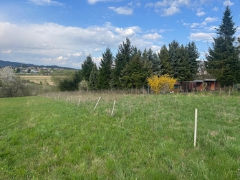 Prodej pozemku 1067 m², Zlín