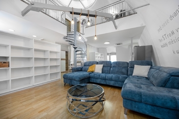 Pronájem bytu atypický v osobním vlastnictví 146 m², Praha 10 - Vinohrady