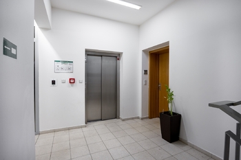 Pronájem bytu atypický v osobním vlastnictví 146 m², Praha 10 - Vinohrady