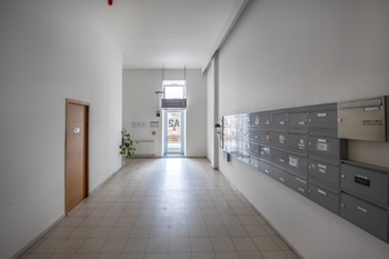 Pronájem bytu atypický v osobním vlastnictví 146 m², Praha 10 - Vinohrady